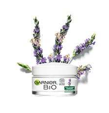 Skinactive Family
